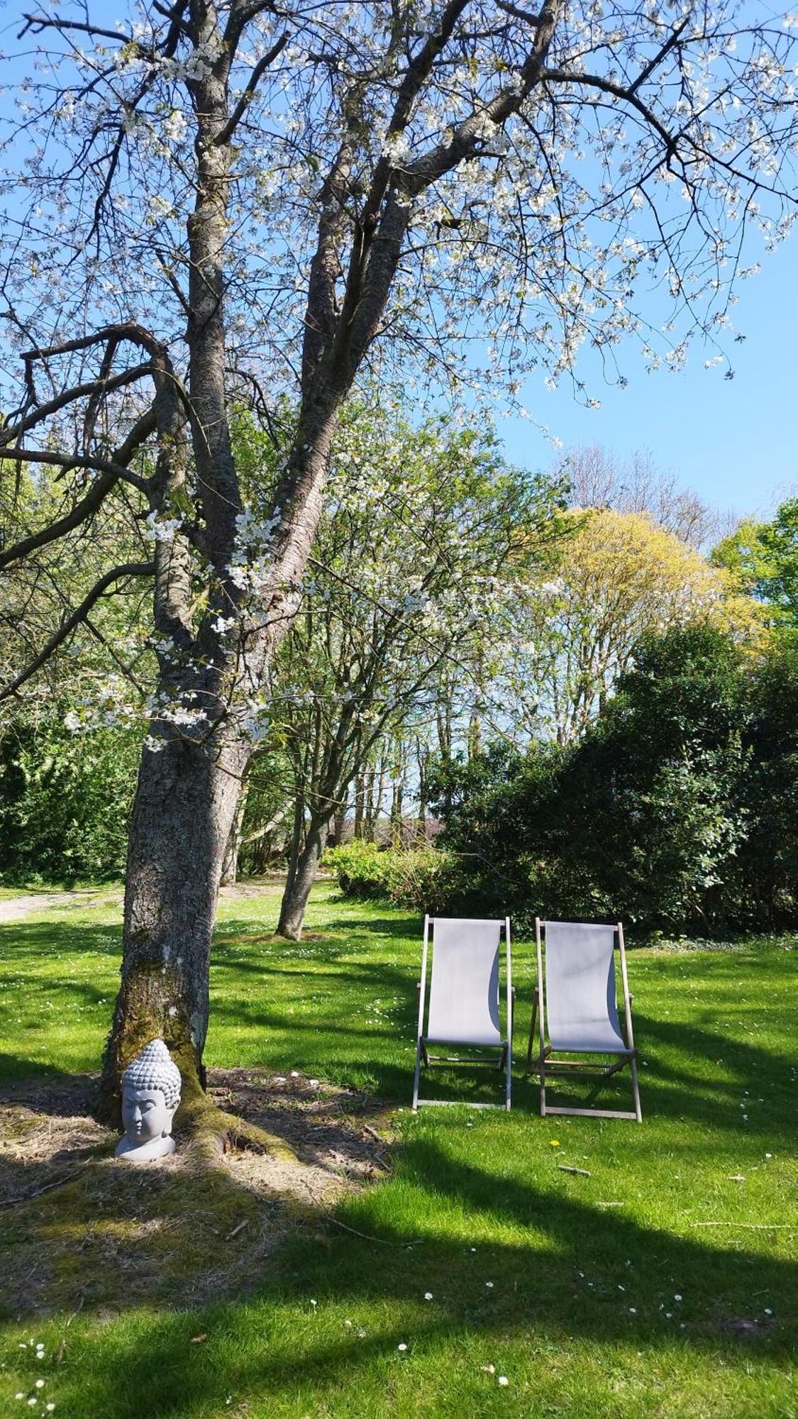 Domaine Des Celestins Hébergement de vacances *